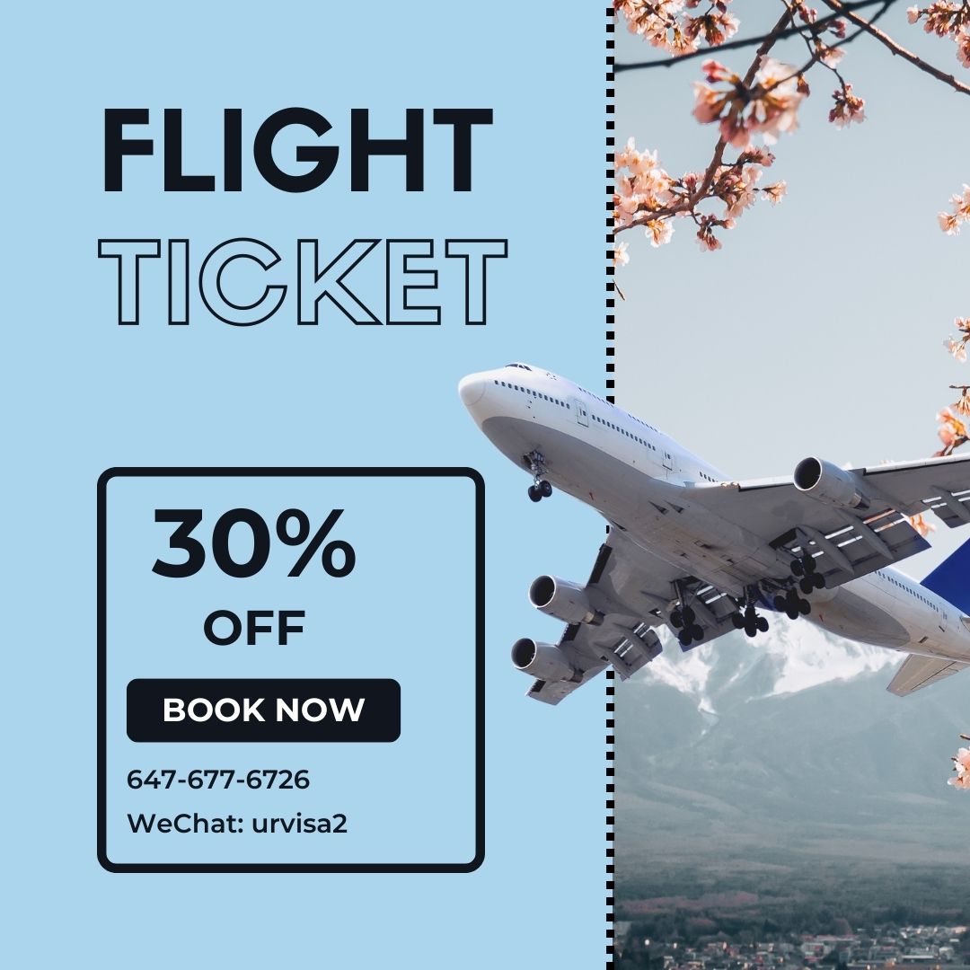 Blue Modern Flight Ticket Discount Instagram Post